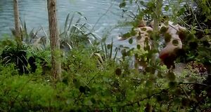 Кейт Уинслет голышом прыгает в воду