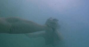 Голая Кейт Уинслет плавает под водой
