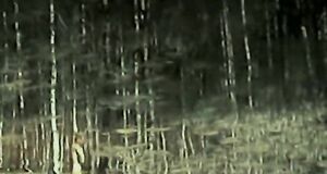 Голая Ирина Алферова в лесу